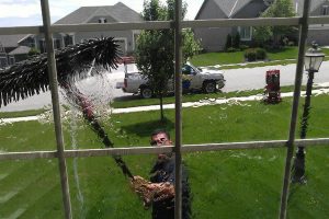 How to Make Window Cleaning in Leawood Easy and Efficient