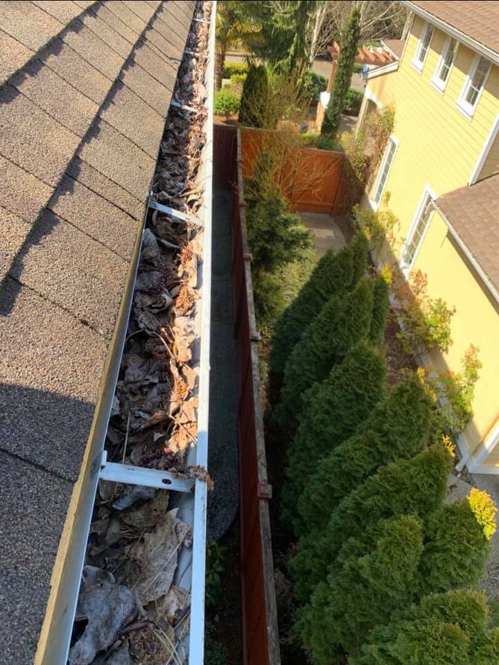 Gutter Cleaning and Debris Removal