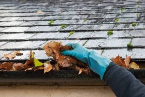 Why Is Gutter Cleaning So Important
